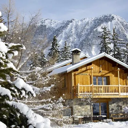 Artemisia * Courchevel